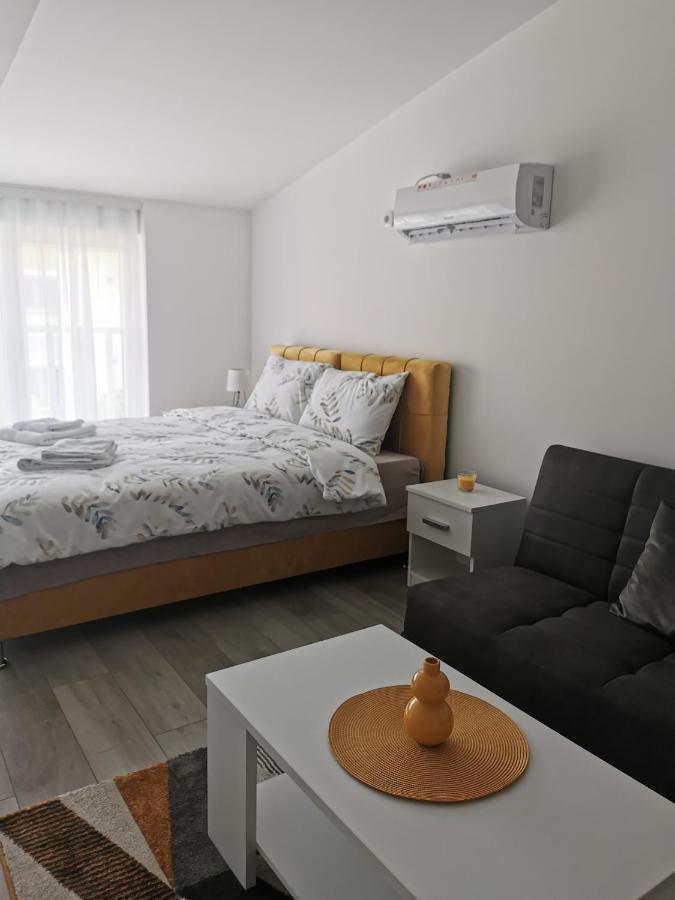 Studio Apartmani Banja Koviljaca Exterior photo